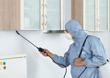 Jasa Pengendalian Hama dari Insekta