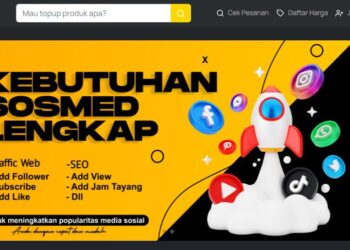 Cari Panel SMM Murah? Rajaitem & Panel SMM Solusinya!