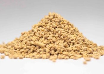 Jenis Pakan Ayam Broiler Terbaik Agar Hasilkan Panen Berkualitas, Jangan Salah Pilih Ya!