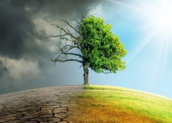 Dampak Perubahan Iklim untuk 100 Tahun Kedepan