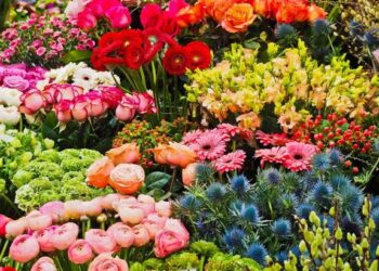 Peluang Bisnis Karangan Bunga, Prospek Cerah Dalam Industri Kreatif