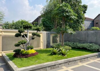 10 Rekomendasi Tukang Taman Surabaya Barat Terbaik