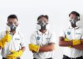 Update Harga Jasa Anti Rayap di Bali dan Kalkulator Biaya