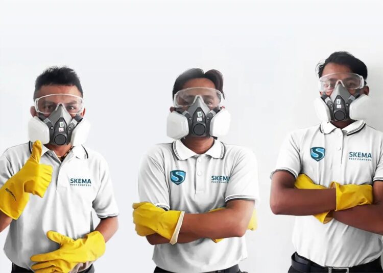 Update Harga Jasa Anti Rayap di Bali dan Kalkulator Biaya